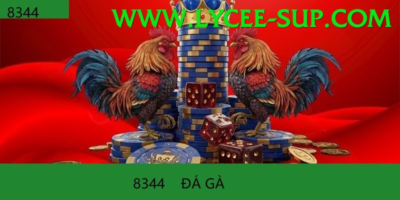 Đá Gà Trực Tiếp - 939bet
