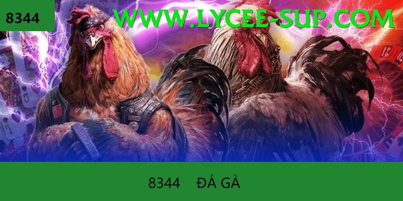 Đá Gà Trực Tiếp - Trải nghiệm tuyệt vời