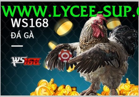 Đá Gà Trực Tiếp - Ưu đãi đặc biệt